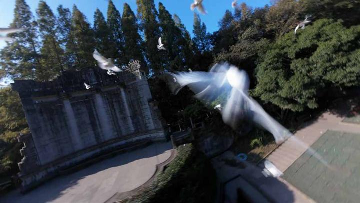 CCTV 央视 — 10