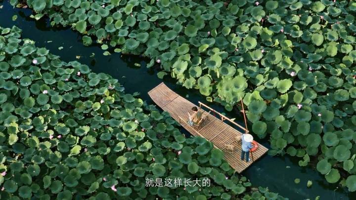 小米 · 生活总有新预期 — 14