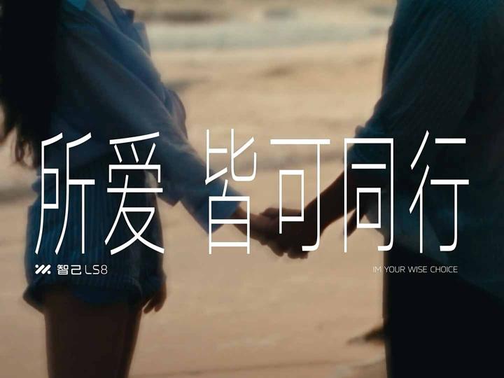 IM 智己 LS8 · 所爱皆可同行 — 12