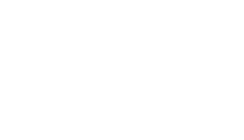 CAMEL 骆驼 CAMEL 骆驼